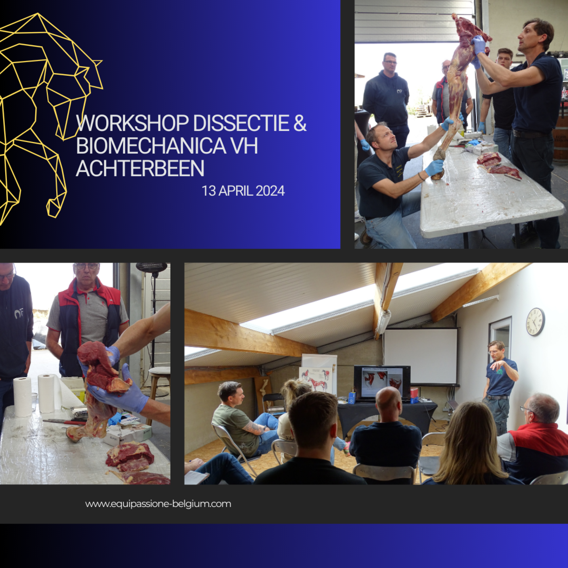 Workshop Dissectie & Biomechanica van het achterbeen