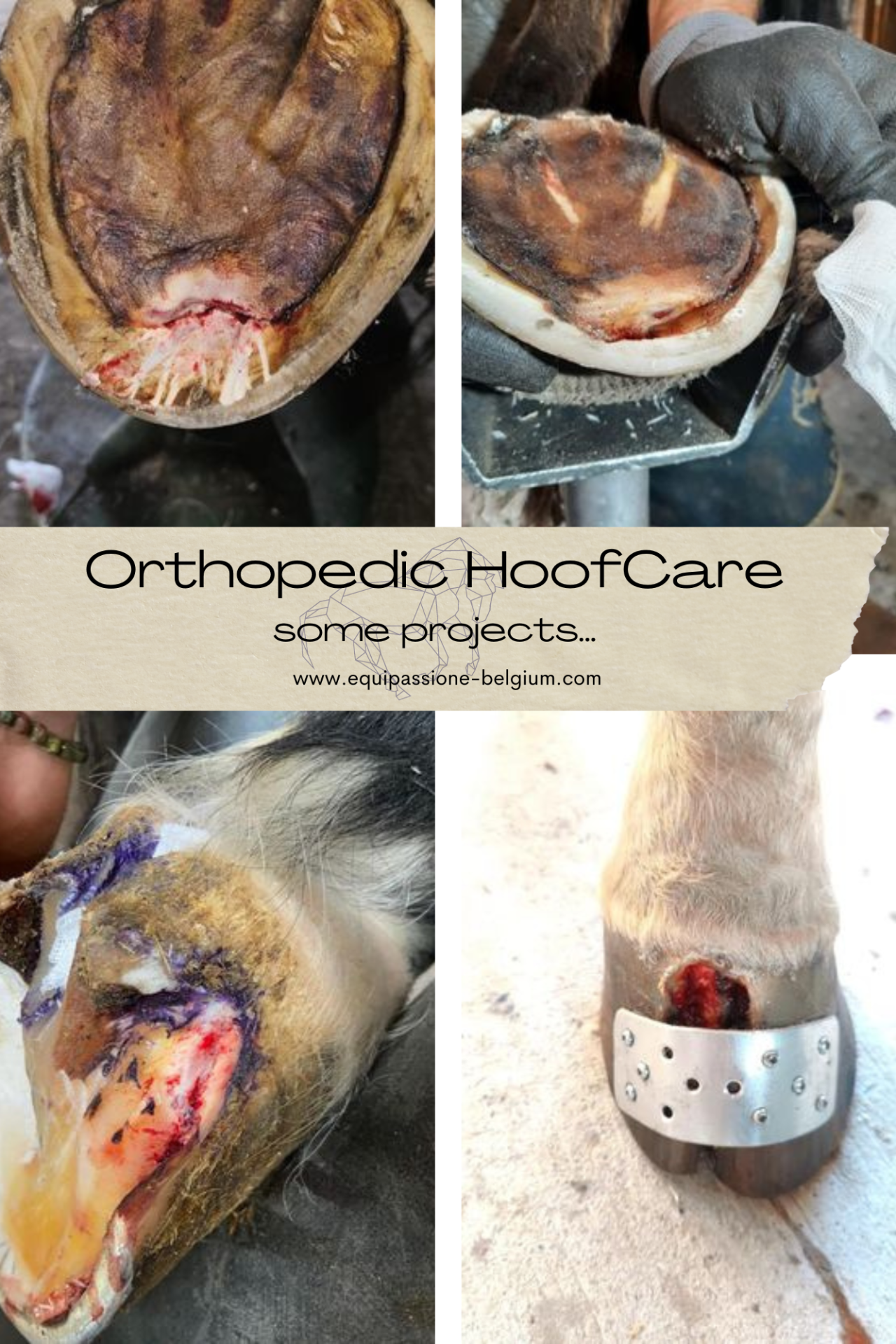Some orthopedic projects