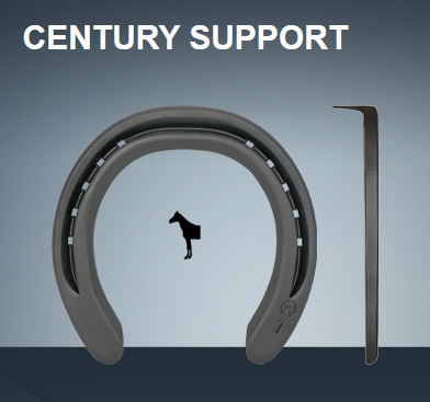 CENTURY SUPPORT 22X8  1/L  0  VOOR