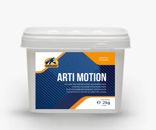 ARTI MOTION (472338)