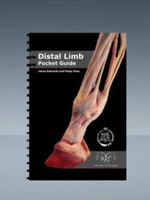 ZAKBOEK ANATOMIE VAN DE HOEF - ENGELS