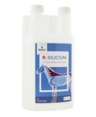 R-Silicium 1L