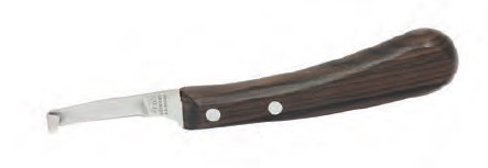 RENET DICK ASCOT/LINKS