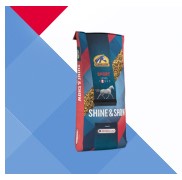  SHINE & SHOW 