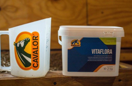 VITAFLORA 2KG